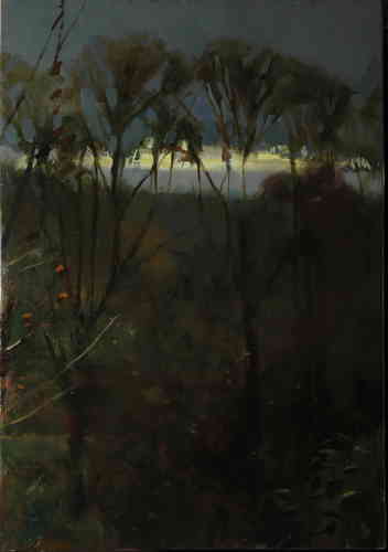 © Christophe Thiry, peintre