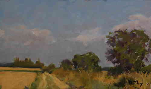 © Christophe Thiry, peintre