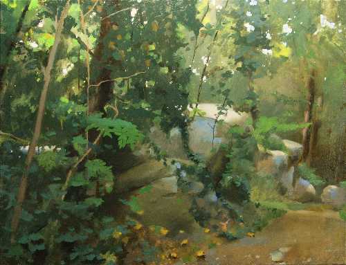 © Christophe Thiry, peintre