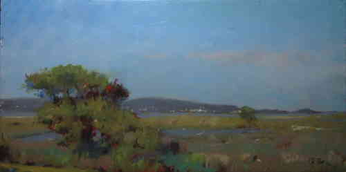 SALINS, PRESQU ILE DE GIENS HSP 30X60 CM (VENDU) - © Christophe Thiry, peintre